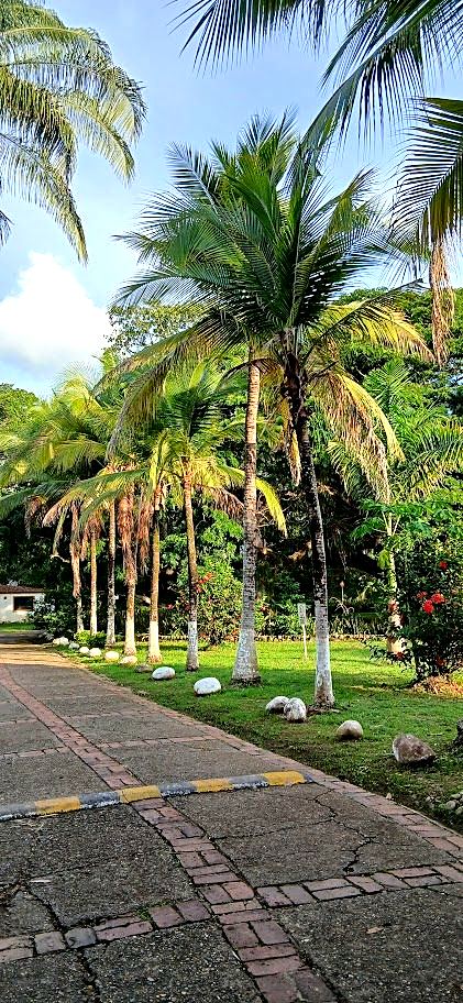Camino peatonal entre palmeras y jardines en un condominio residencial de Melgar