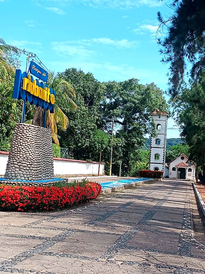 Iglesia parroquial de Melgar, monumento con flores y calle empedrada