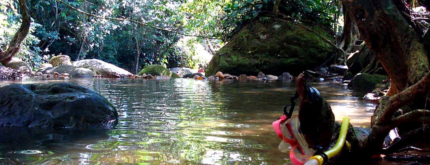 Quebrada de aguas tranquilas rodeada de vegetaci&oacute;n cerca de Melgar