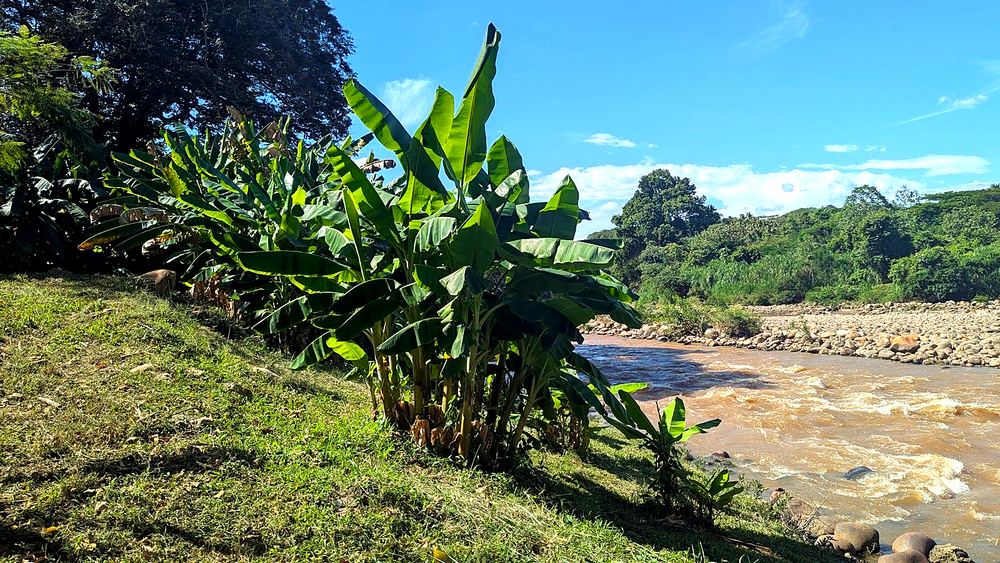 Río y vegetación tropical exuberante cerca de Melgar, Tolima, bajo cielo azul